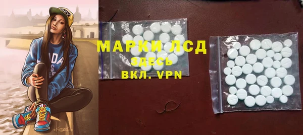 PSILOCYBIN Алзамай