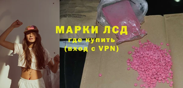 PSILOCYBIN Алзамай