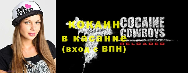 PSILOCYBIN Алзамай