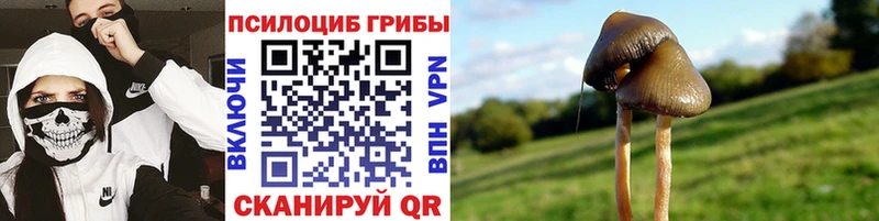 Галлюциногенные грибы Psilocybe  это телеграм  Осинники 