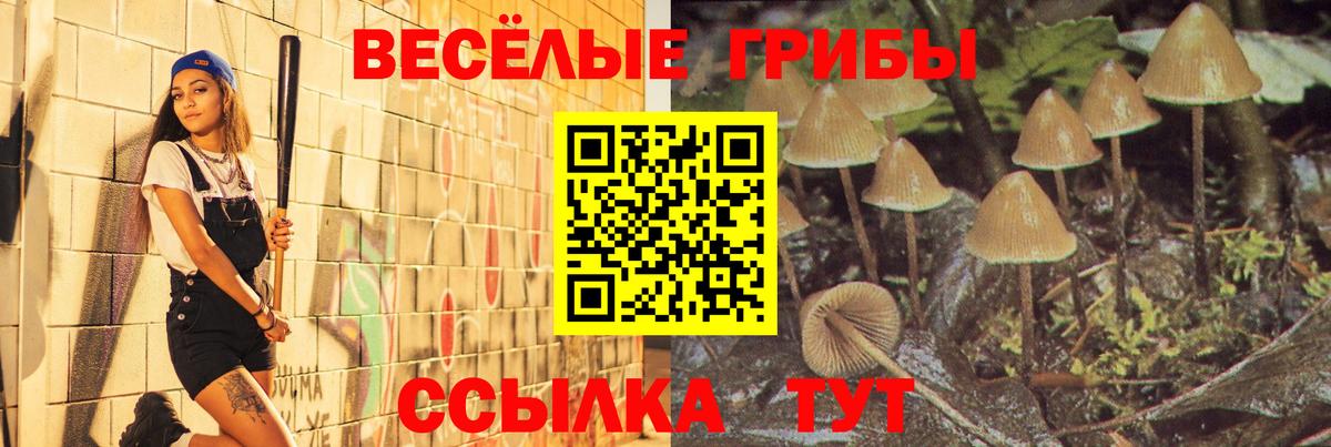 Осинники  Псилоцибиновые грибы Cubensis  Галлюциногенные грибы MAGIC MUSHROOMS  Вход с VPN 